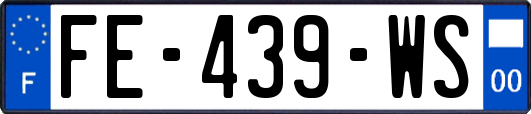 FE-439-WS