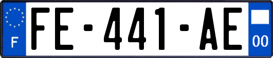 FE-441-AE