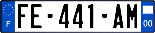 FE-441-AM