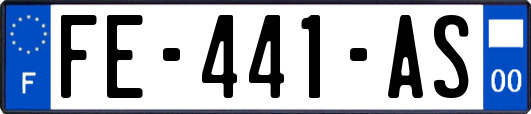 FE-441-AS