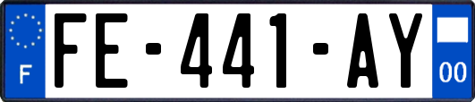 FE-441-AY