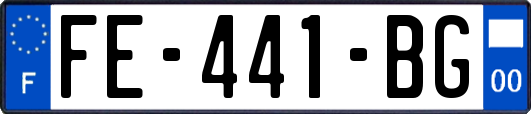 FE-441-BG