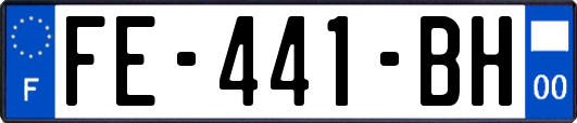 FE-441-BH