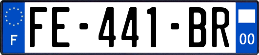 FE-441-BR