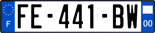 FE-441-BW