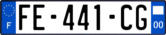 FE-441-CG