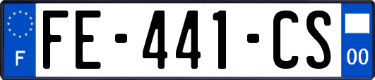 FE-441-CS