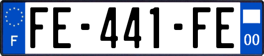 FE-441-FE