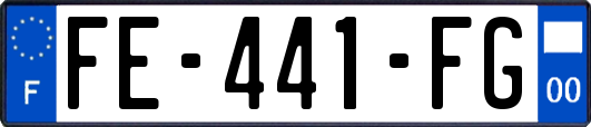 FE-441-FG