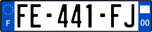 FE-441-FJ