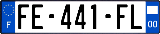 FE-441-FL