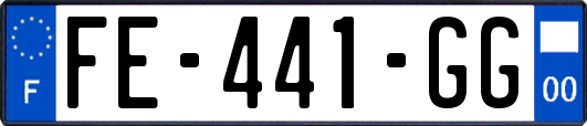 FE-441-GG