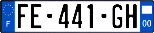 FE-441-GH