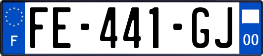 FE-441-GJ