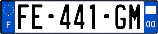 FE-441-GM