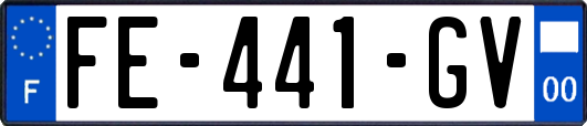 FE-441-GV