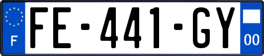 FE-441-GY