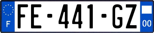 FE-441-GZ