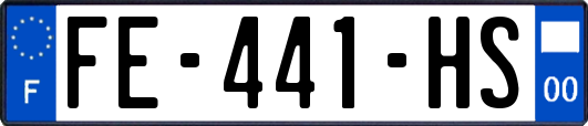 FE-441-HS
