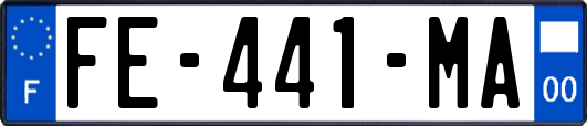 FE-441-MA