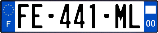 FE-441-ML