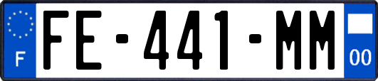 FE-441-MM