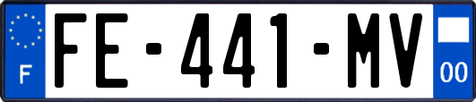 FE-441-MV