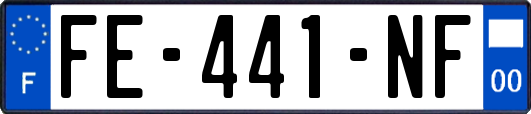 FE-441-NF