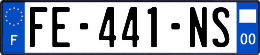 FE-441-NS