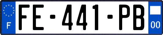 FE-441-PB