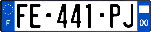 FE-441-PJ