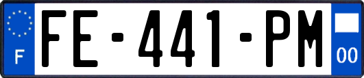 FE-441-PM