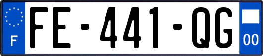 FE-441-QG