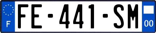 FE-441-SM