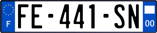 FE-441-SN