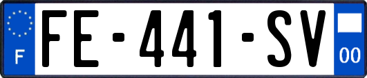 FE-441-SV