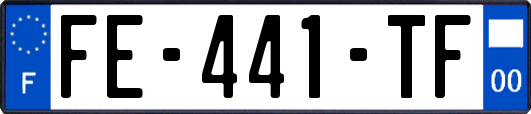 FE-441-TF