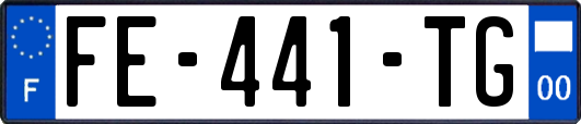 FE-441-TG