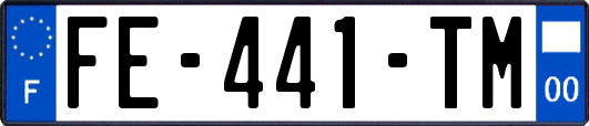 FE-441-TM