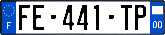 FE-441-TP