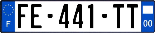 FE-441-TT
