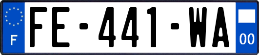 FE-441-WA