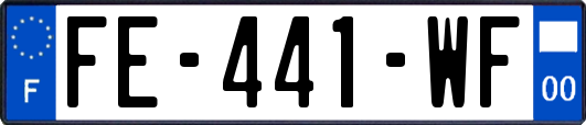 FE-441-WF