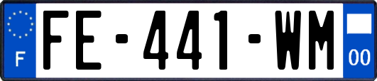 FE-441-WM