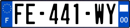FE-441-WY