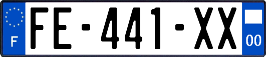 FE-441-XX