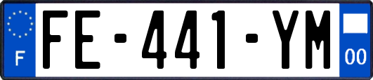 FE-441-YM