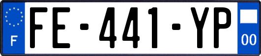 FE-441-YP