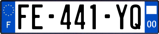 FE-441-YQ