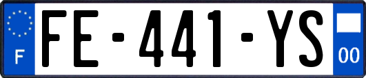 FE-441-YS